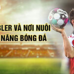 Lukas kübler và nơi nuôi dưỡng tài năng bóng đá